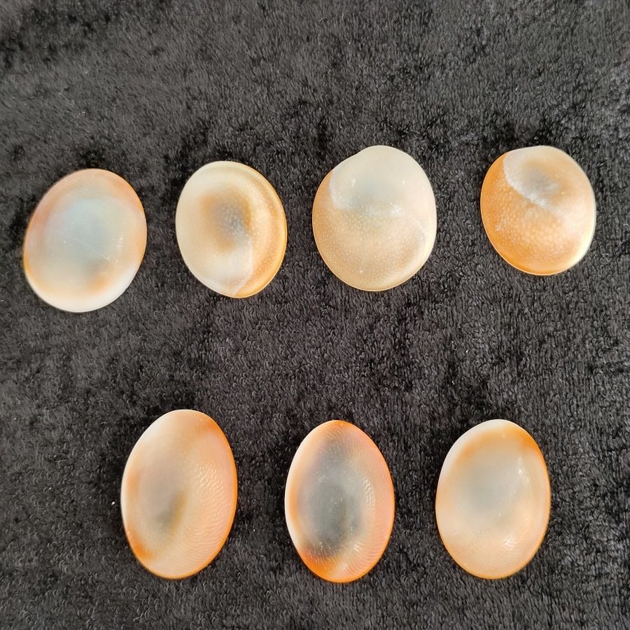 LARGE BOY YILANCIK TAŞI