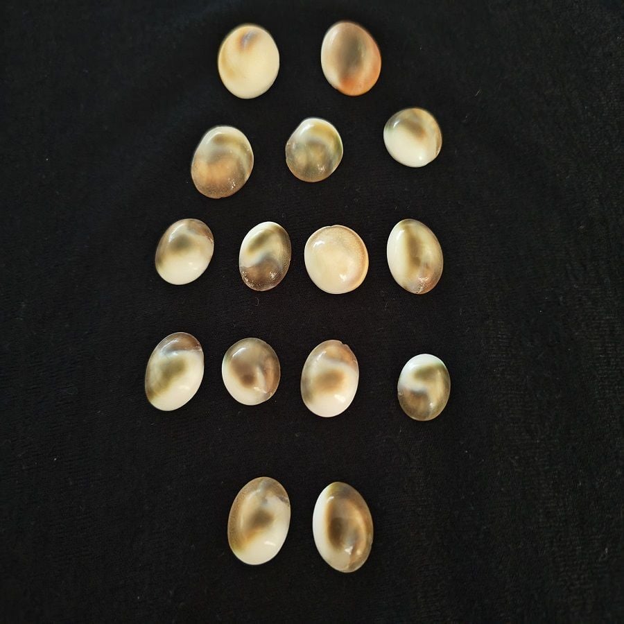 ORTA VE MİNİ BOY YILANCIK TAŞINDA KAMPANYA 11 ADET ERKEK DİŞİ KARIŞIK YILANCIK TAŞI ÖZEL KESESİNDE MAMA KARIŞIMI İLE BİRLİKTE VE KULLANIM KLAVUZU YANINDA AYRICA 4 ADET DE HEDİYELİ TOPLAM 15 ADET