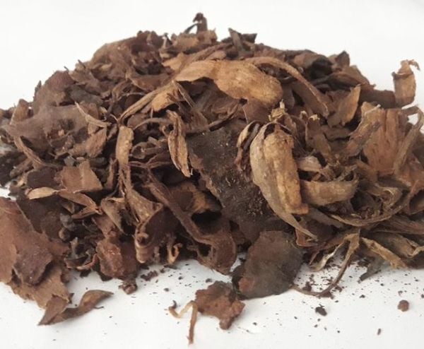 AMBER AĞACI KABUĞU