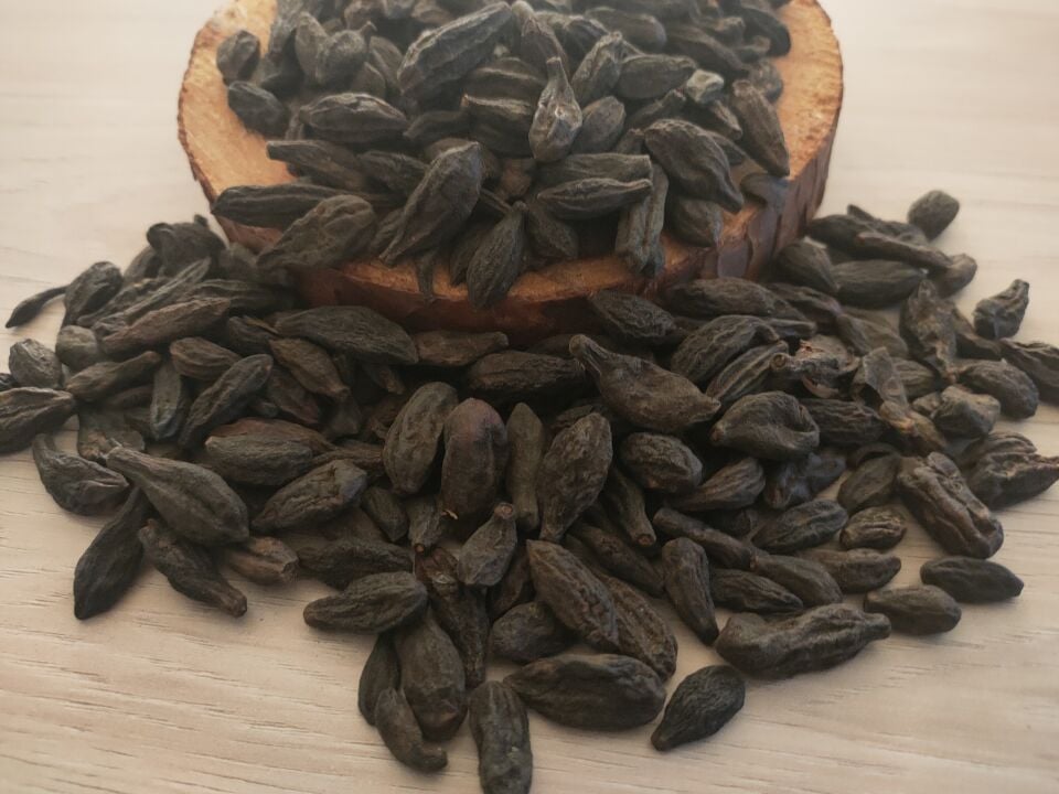 DOĞAL ŞİFA KAYNAĞI BİR ŞİFA DEPOSU KARA HELİLE TOHUMU