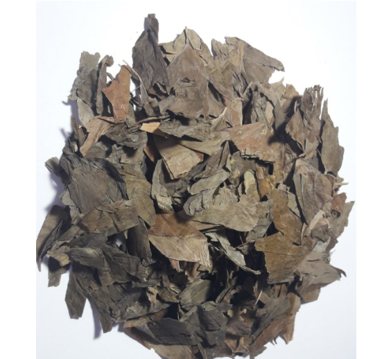 BEYİN DOSTU GİNKGO BLOBA  (MABET AĞACI ) YAPRAĞI YENİ HASAT ÜRÜN