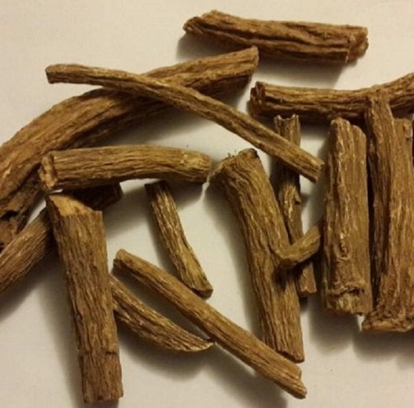 UDİ HİNDİ KUSTİ BAHRİ AĞACI KÖKÜ